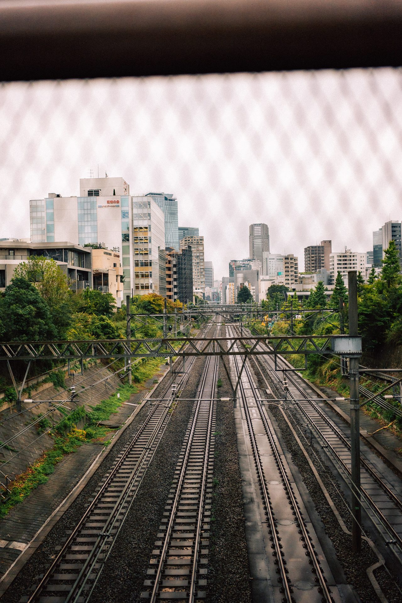 Bahngleise führen hinter einem Drahtgitter auf die Skyline einer Stadt zu.